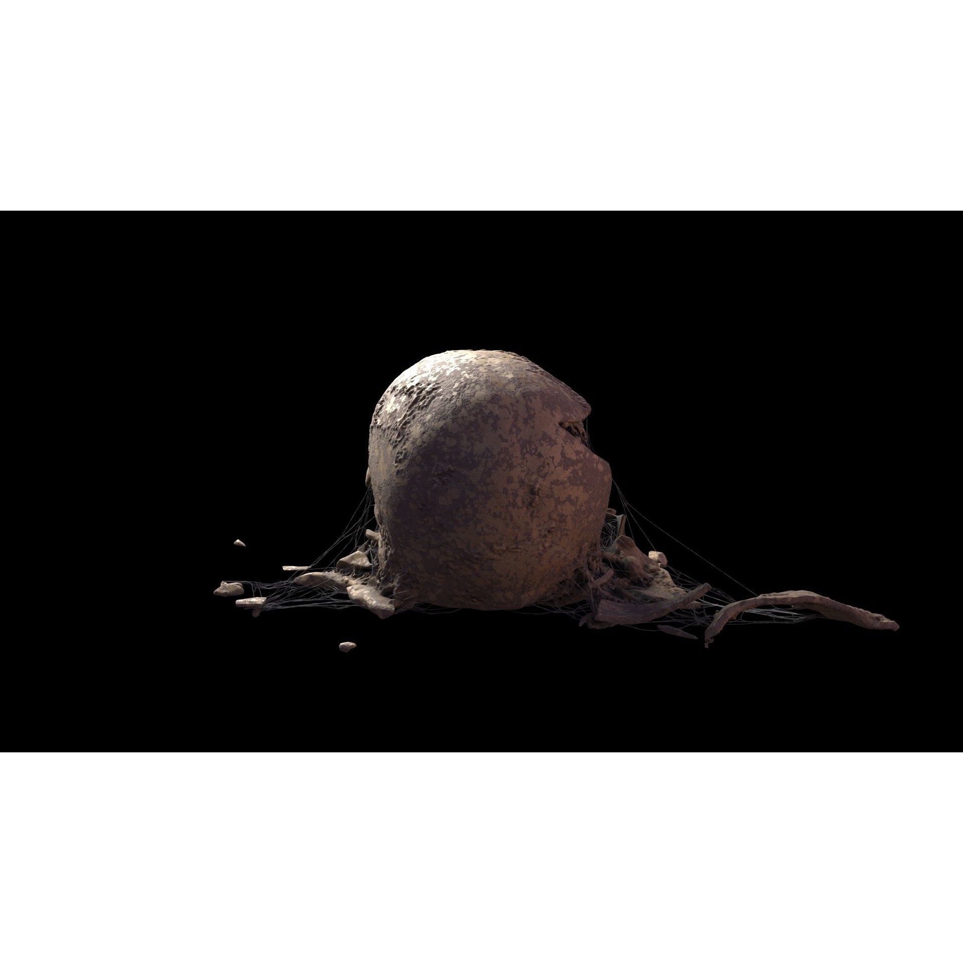 Broken Skulls with Spider Webs - Game-Ready 3D Model - View 53