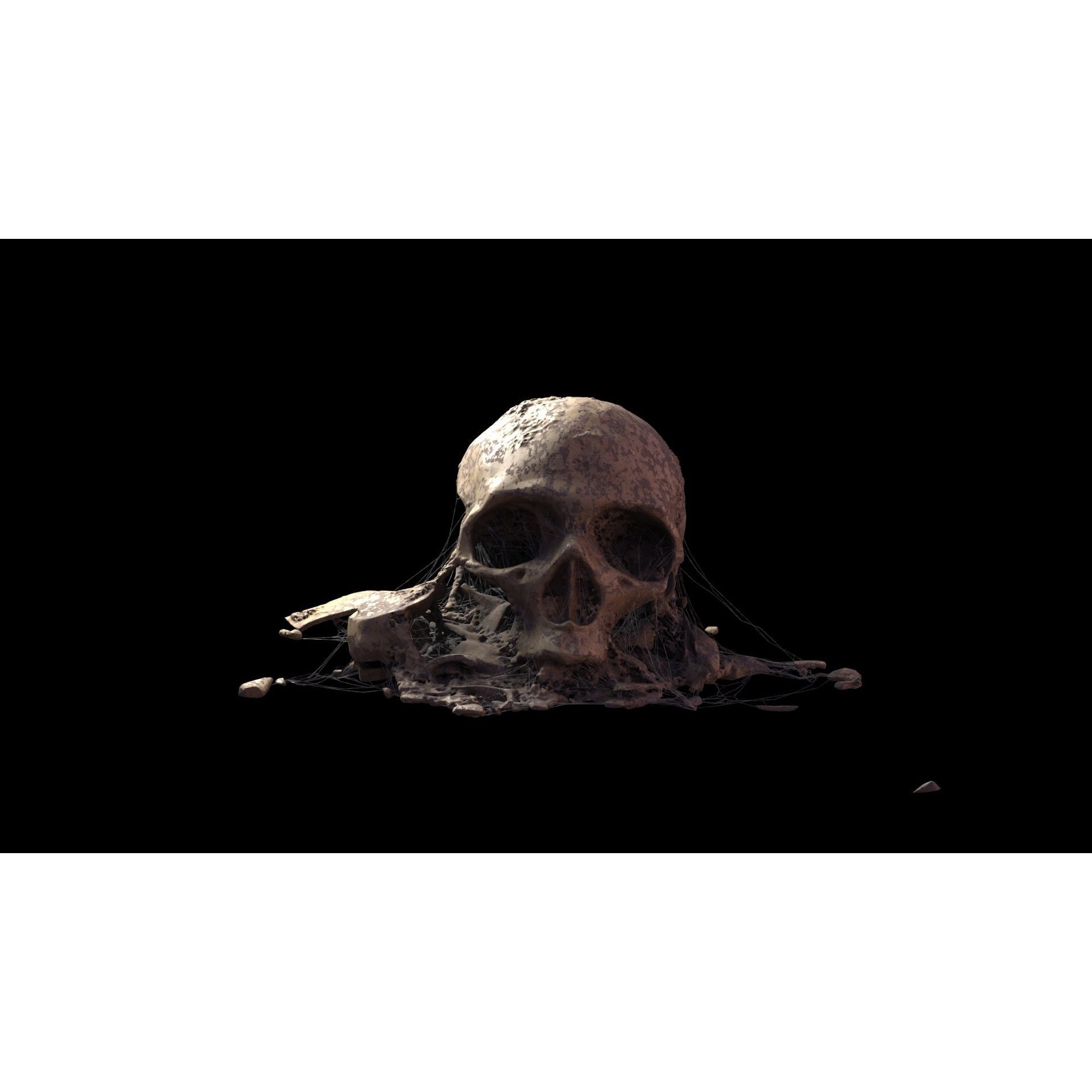 Broken Skulls with Spider Webs - Game-Ready 3D Model - View 54
