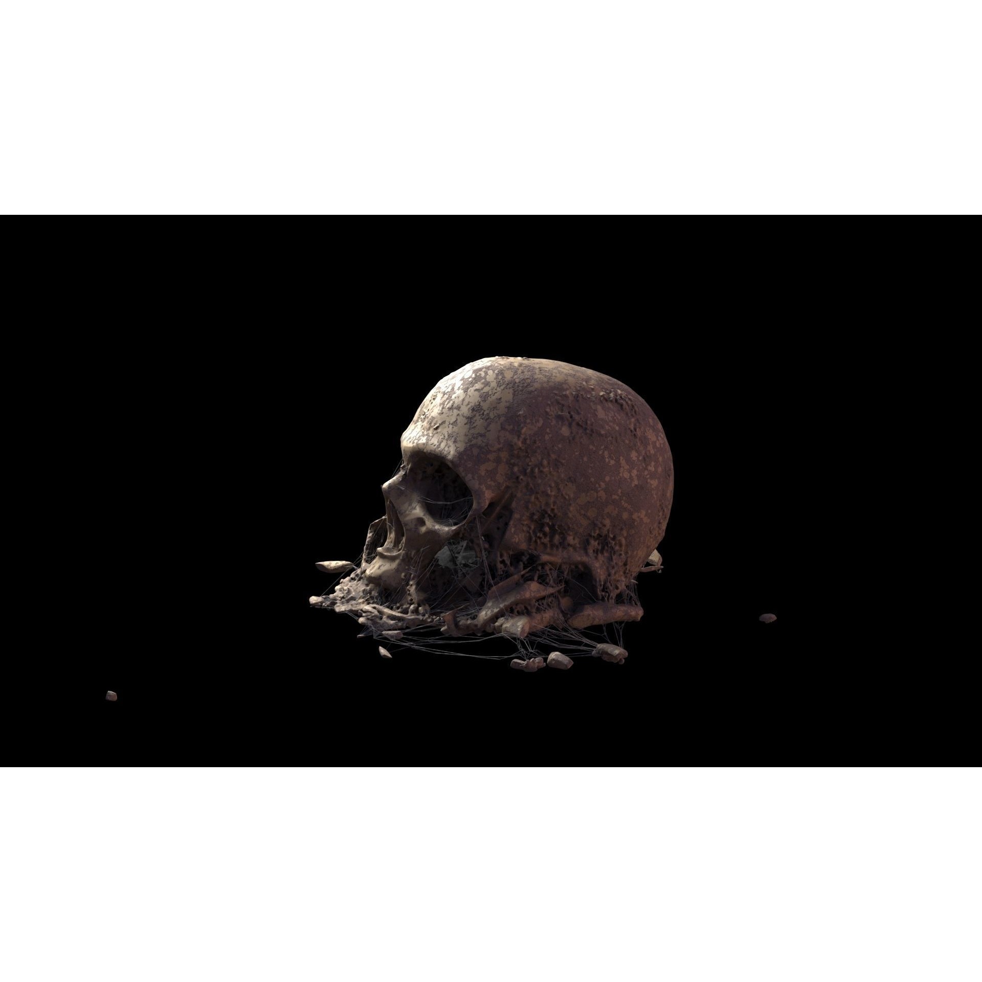 Broken Skulls with Spider Webs - Game-Ready 3D Model - View 55