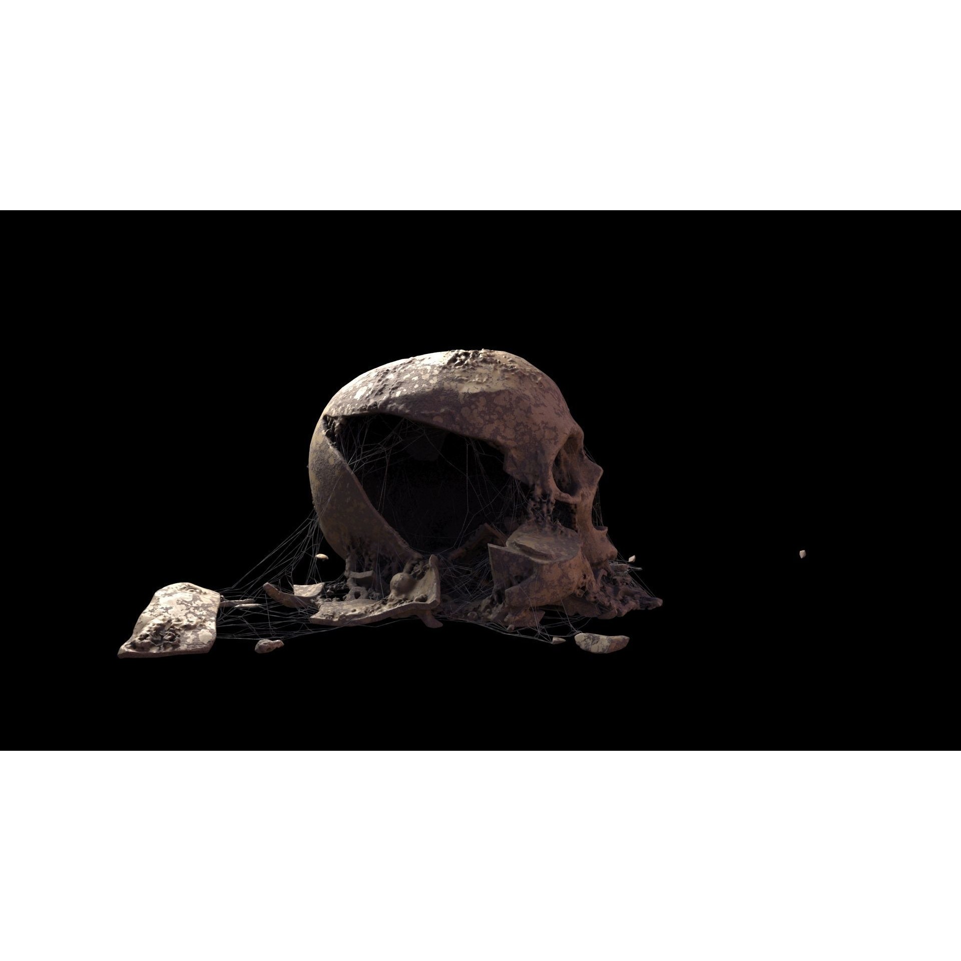 Broken Skulls with Spider Webs - Game-Ready 3D Model - View 56