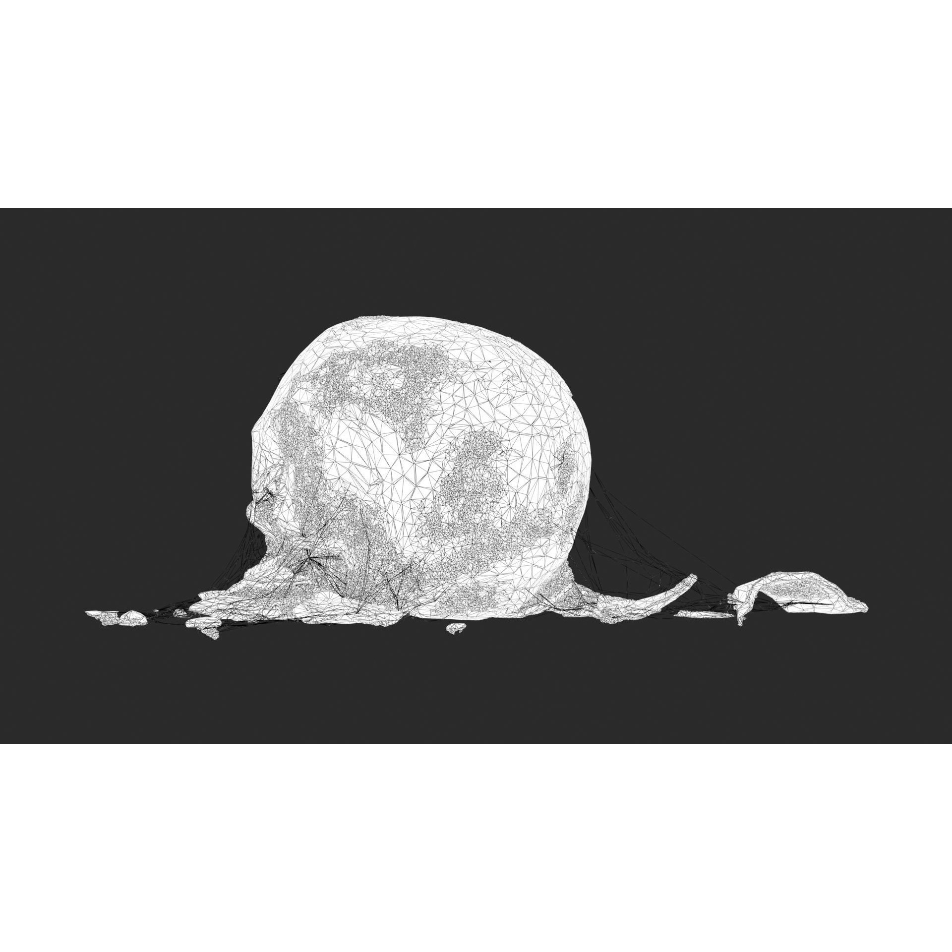 Broken Skulls with Spider Webs - Game-Ready 3D Model - View 57