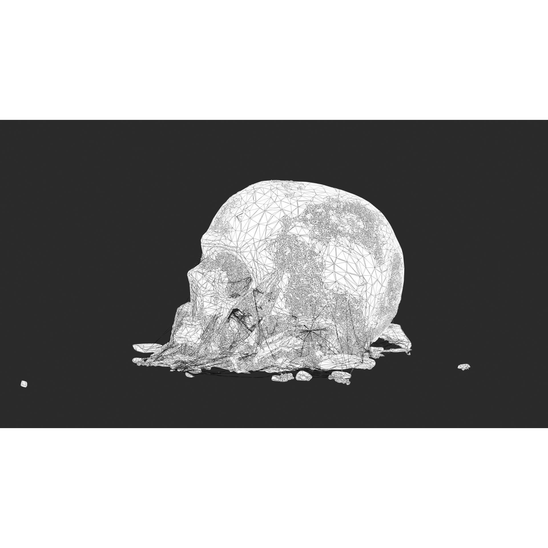 Broken Skulls with Spider Webs - Game-Ready 3D Model - View 58