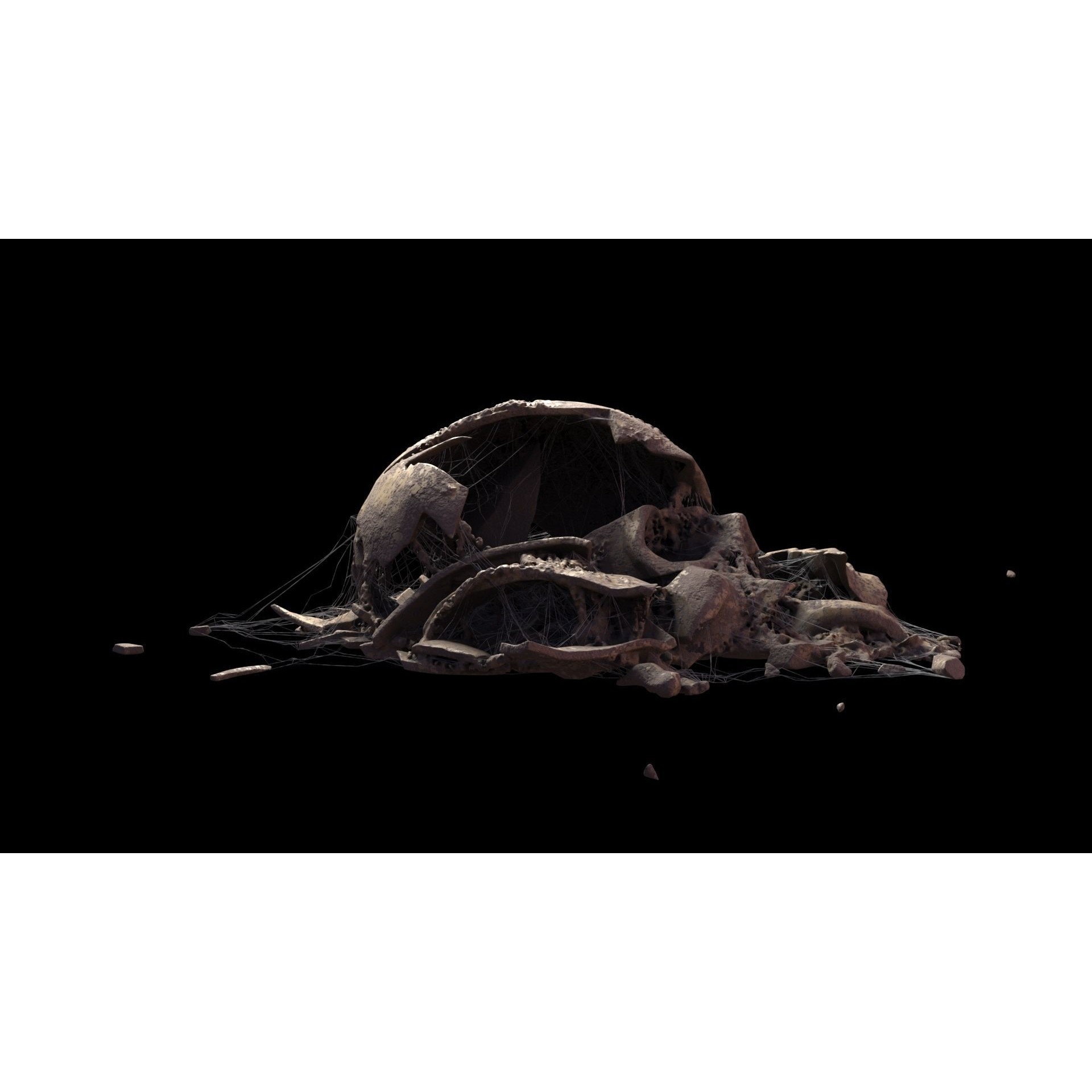 Broken Skulls with Spider Webs - Game-Ready 3D Model - View 59