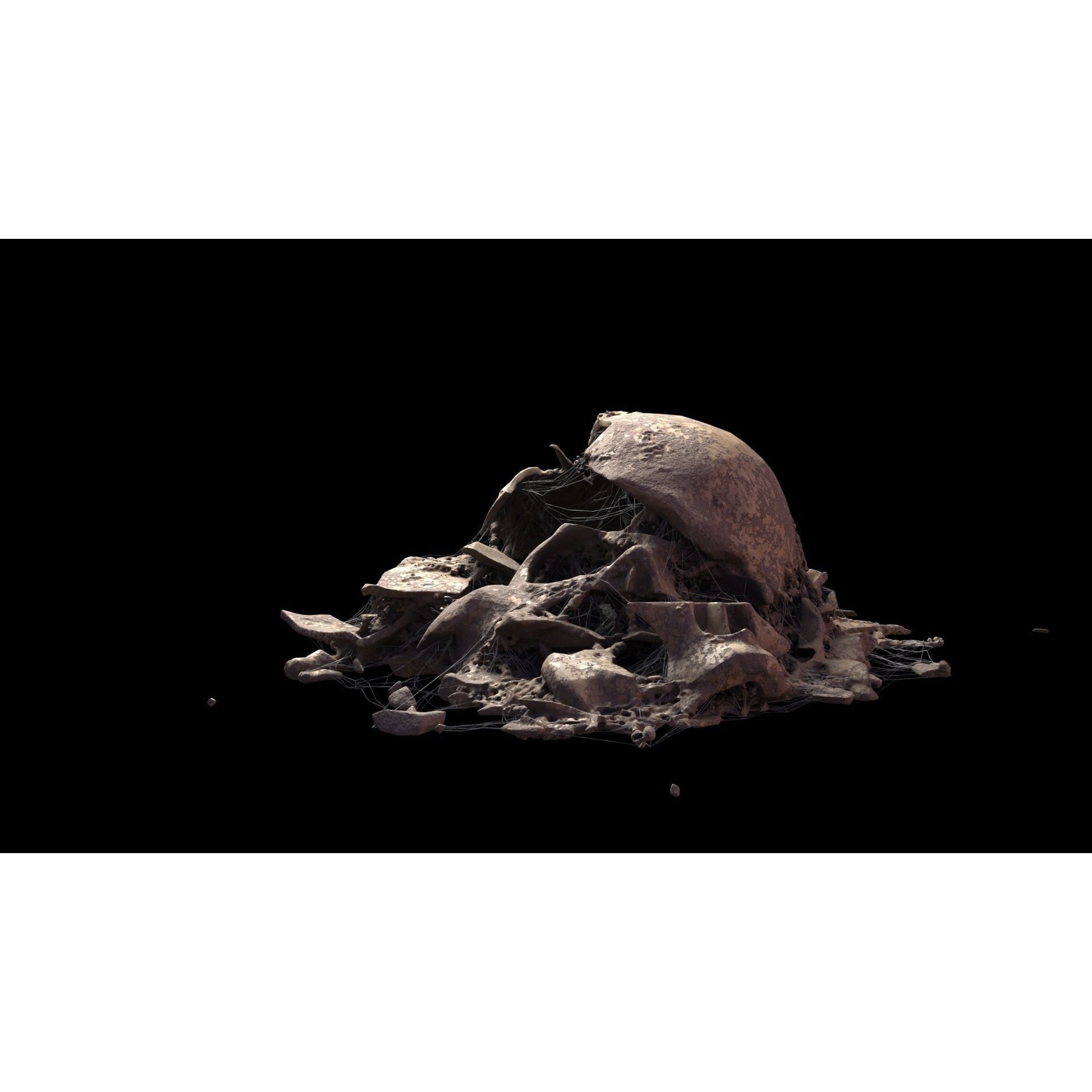 Broken Skulls with Spider Webs - Game-Ready 3D Model - View 61