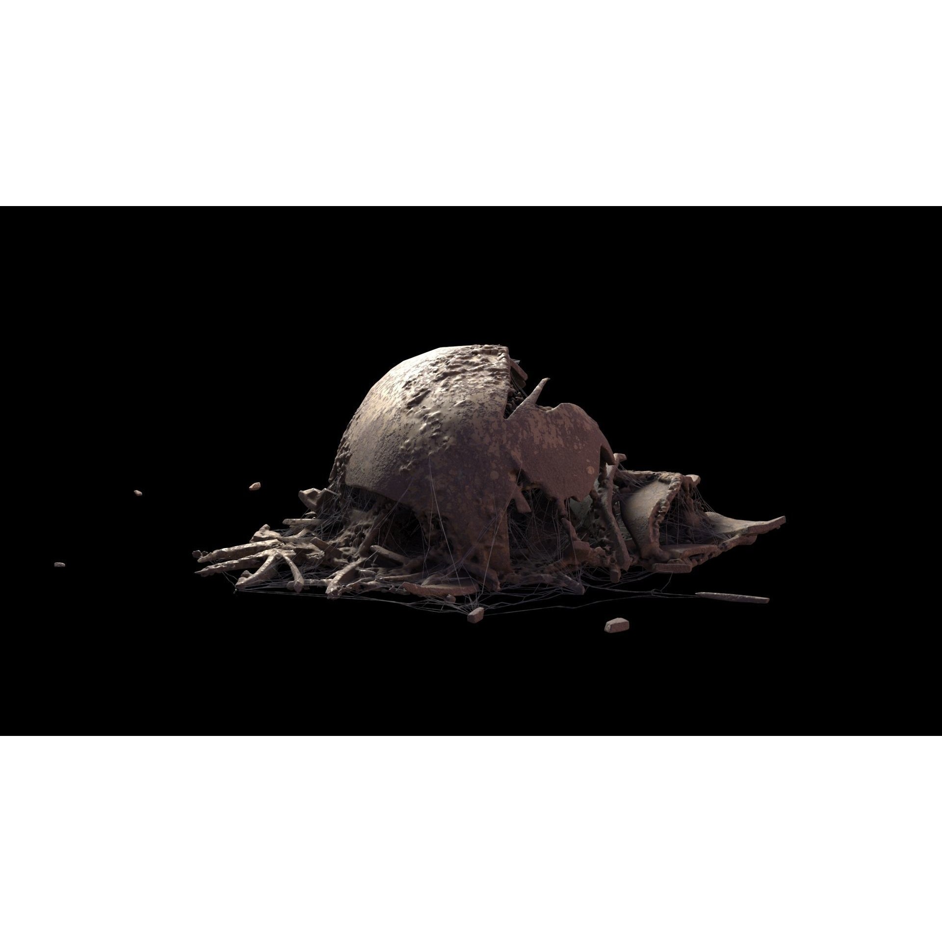 Broken Skulls with Spider Webs - Game-Ready 3D Model - View 62