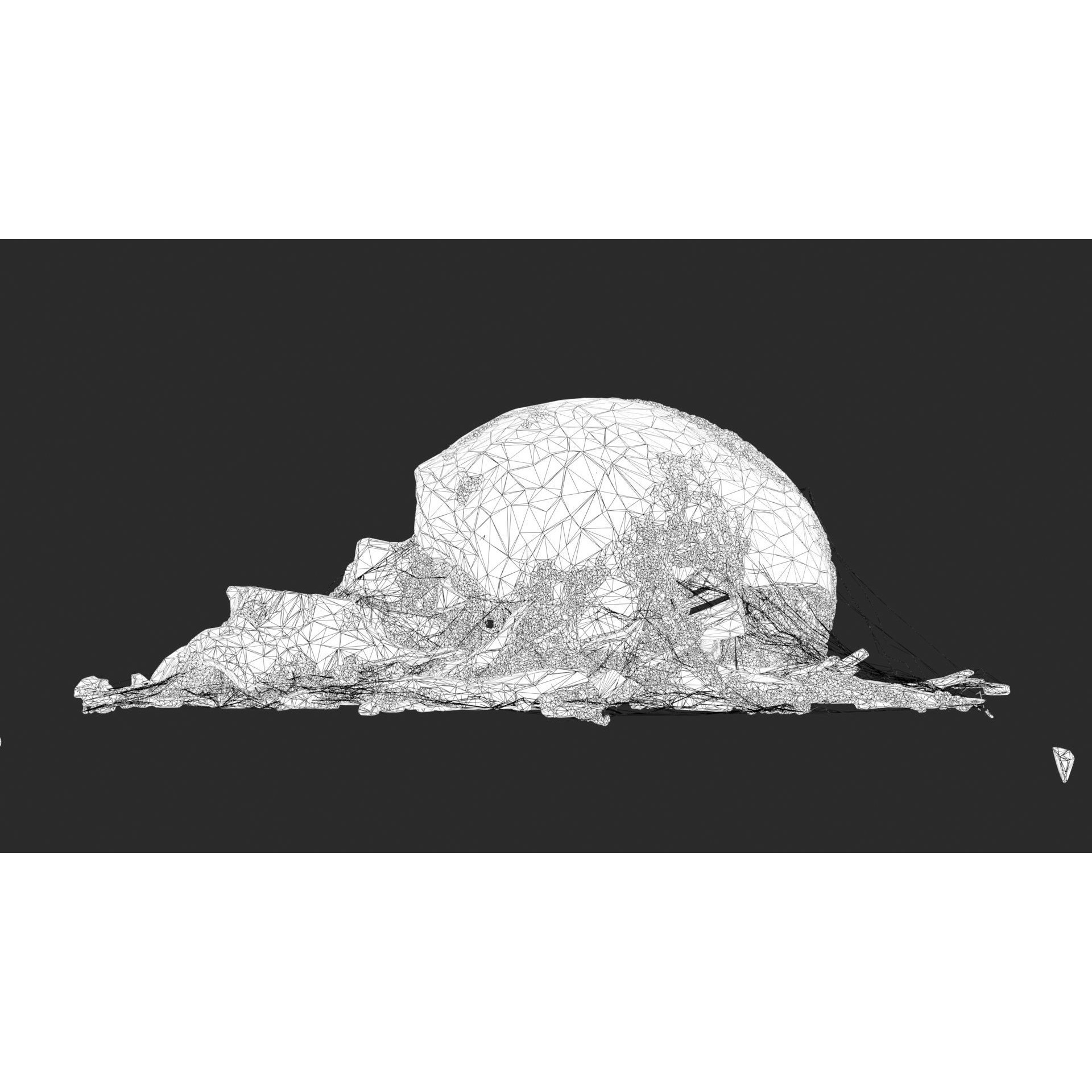 Broken Skulls with Spider Webs - Game-Ready 3D Model - View 64