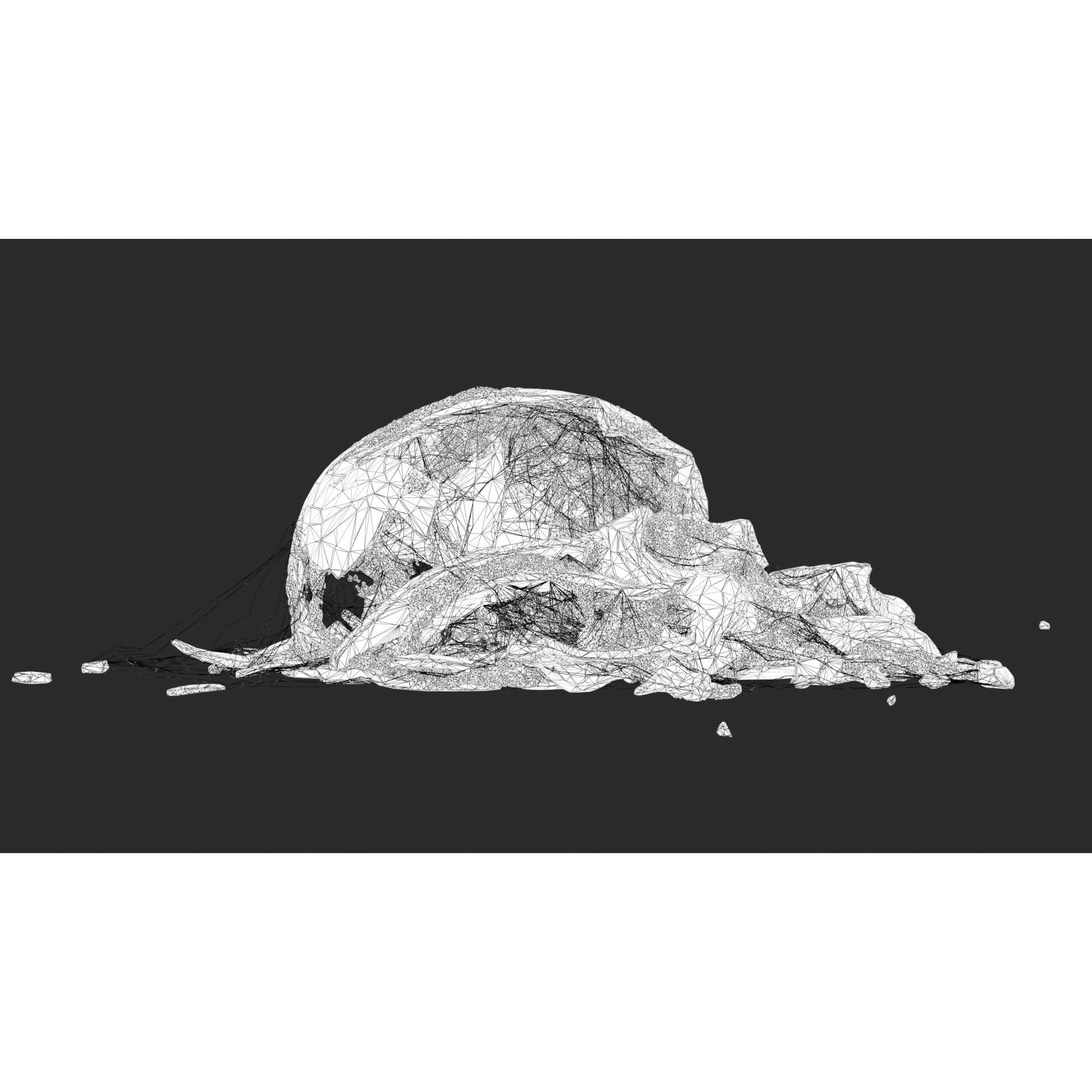 Broken Skulls with Spider Webs - Game-Ready 3D Model - View 65