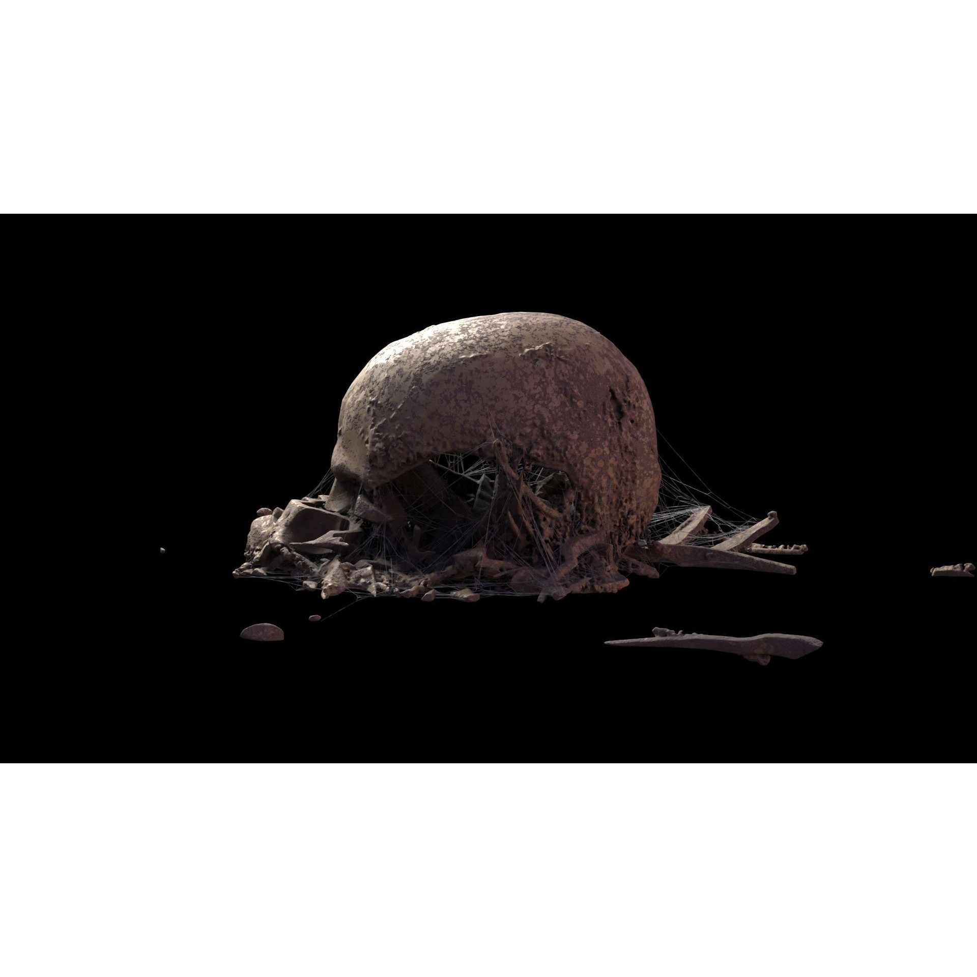 Broken Skulls with Spider Webs - Game-Ready 3D Model - View 66