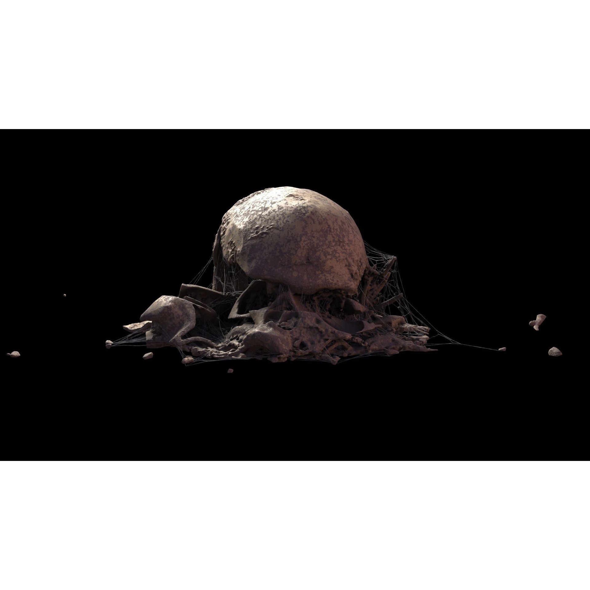 Broken Skulls with Spider Webs - Game-Ready 3D Model - View 67
