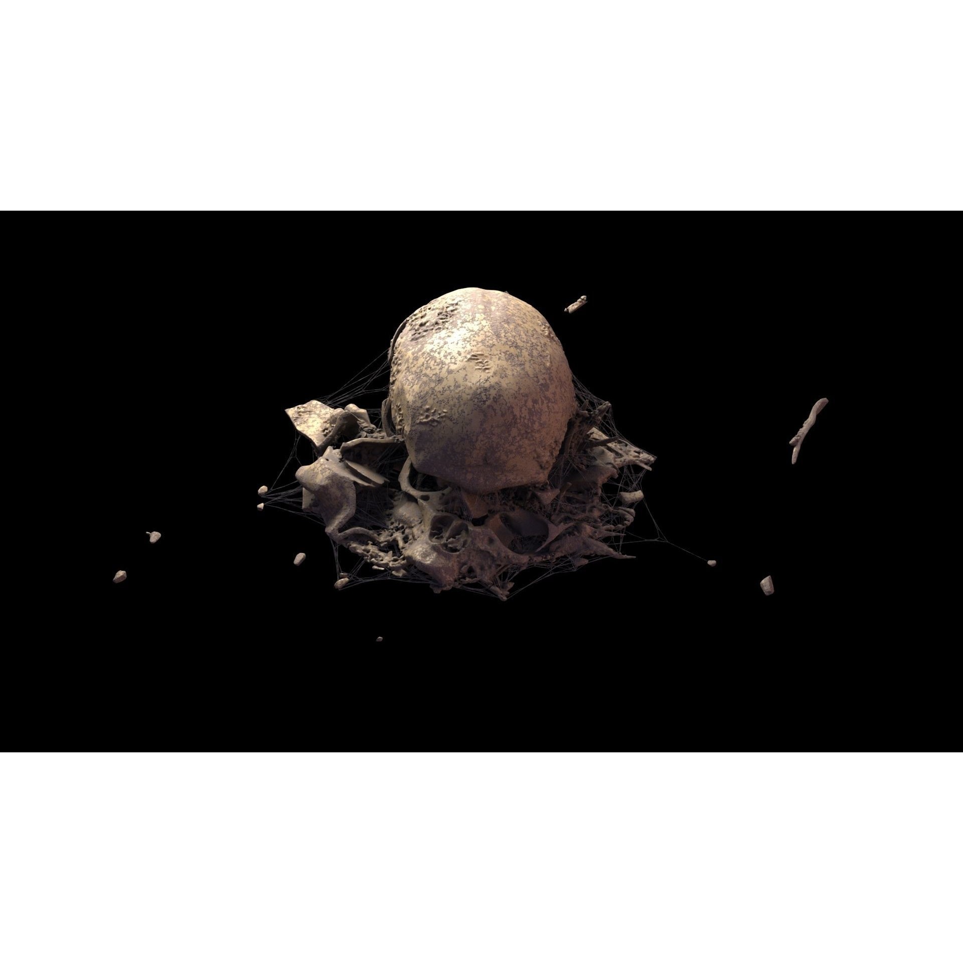 Broken Skulls with Spider Webs - Game-Ready 3D Model - View 68
