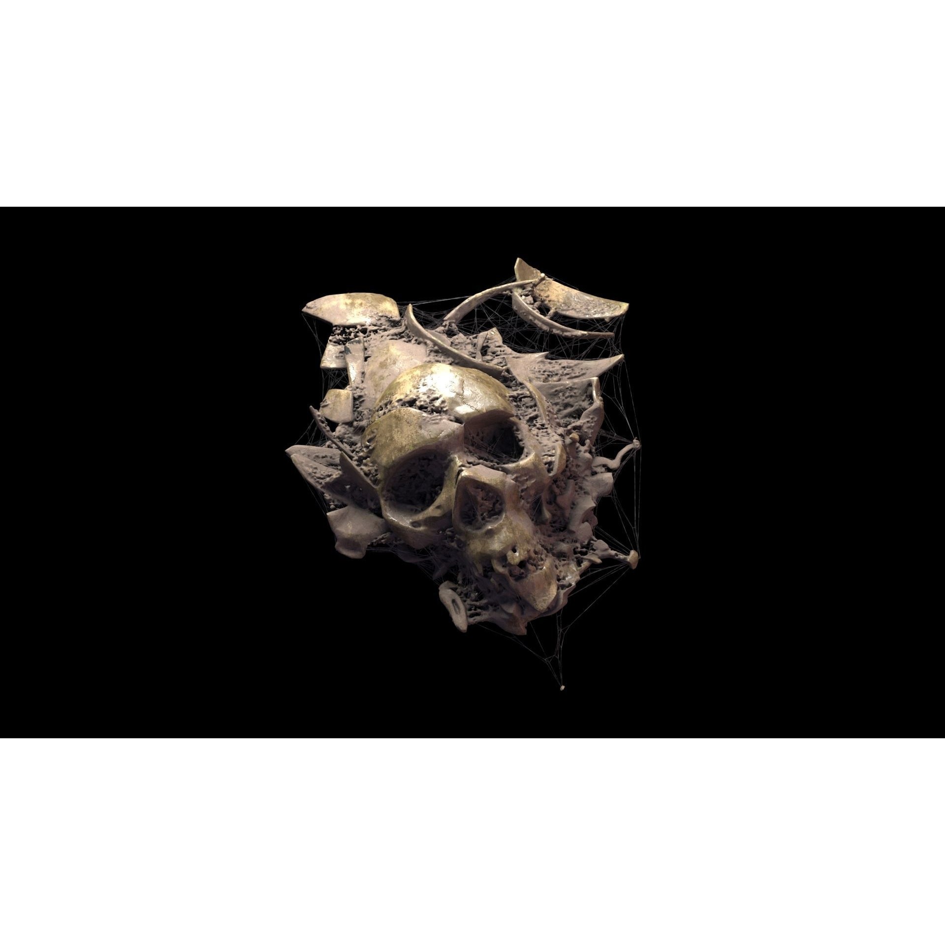 Broken Skulls with Spider Webs - Game-Ready 3D Model - View 8