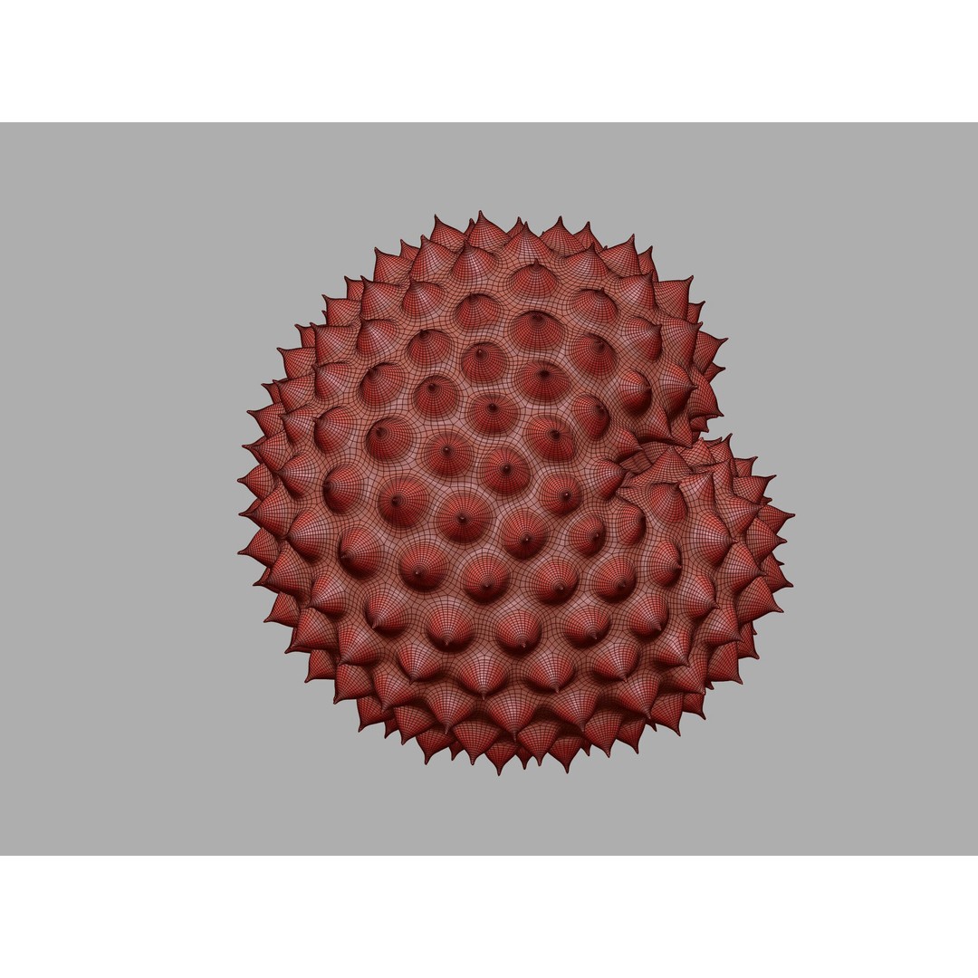 Ragweed Pollen Particle 3D Model – High-Resolution Scientific Visualization, PBR