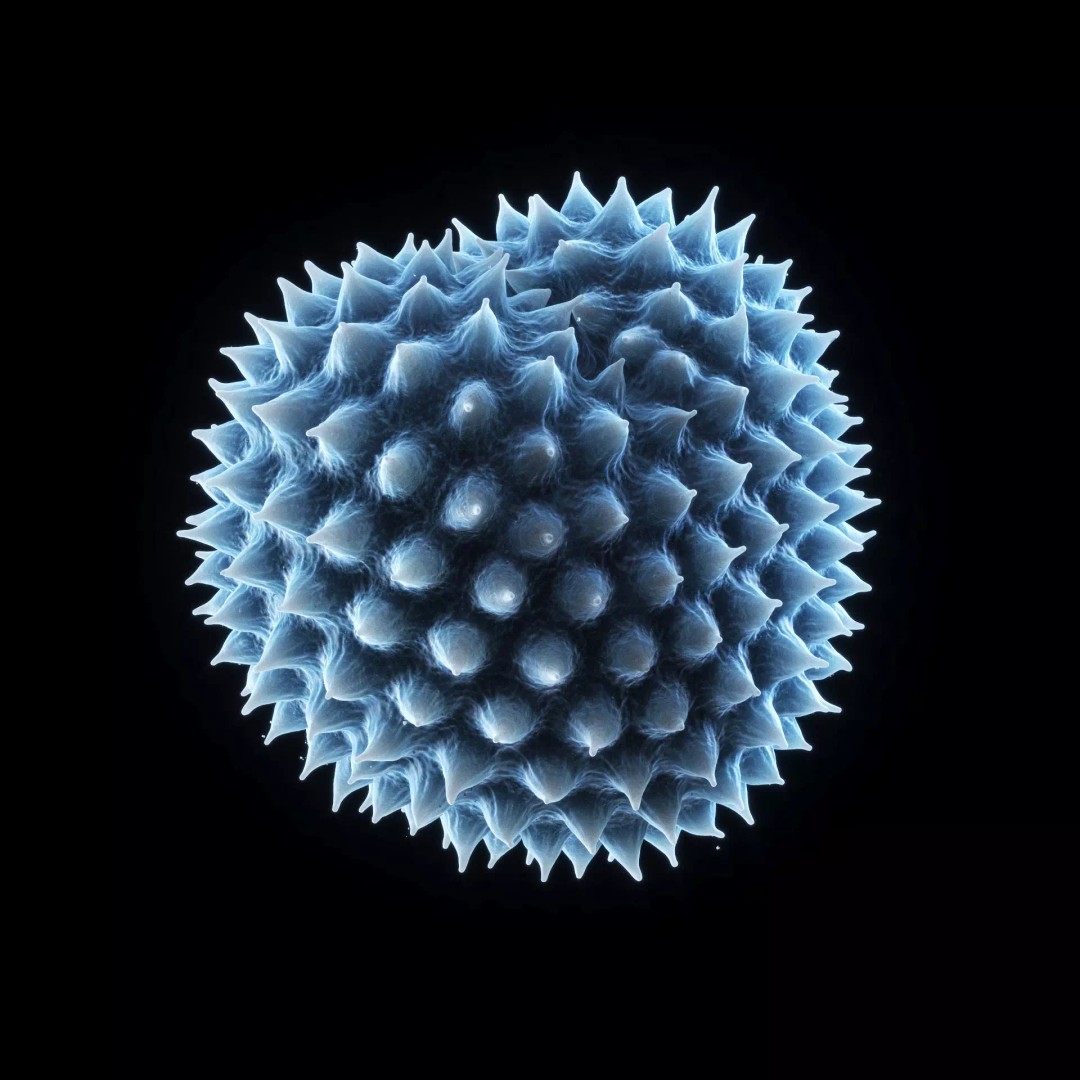 Ragweed Pollen Particle 3D Model – High-Resolution Scientific Visualization, PBR - View 10