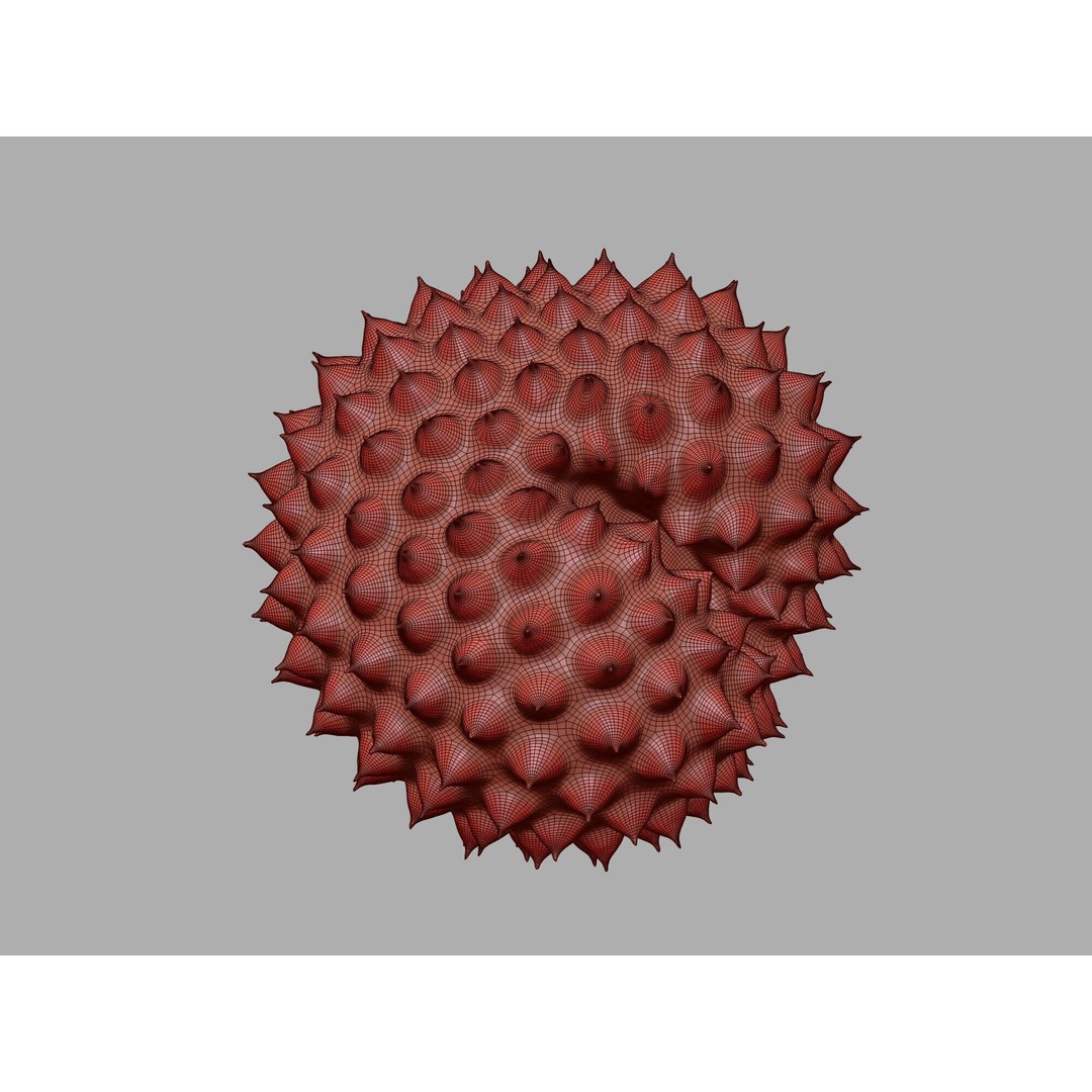 Ragweed Pollen Particle 3D Model – High-Resolution Scientific Visualization, PBR - View 12