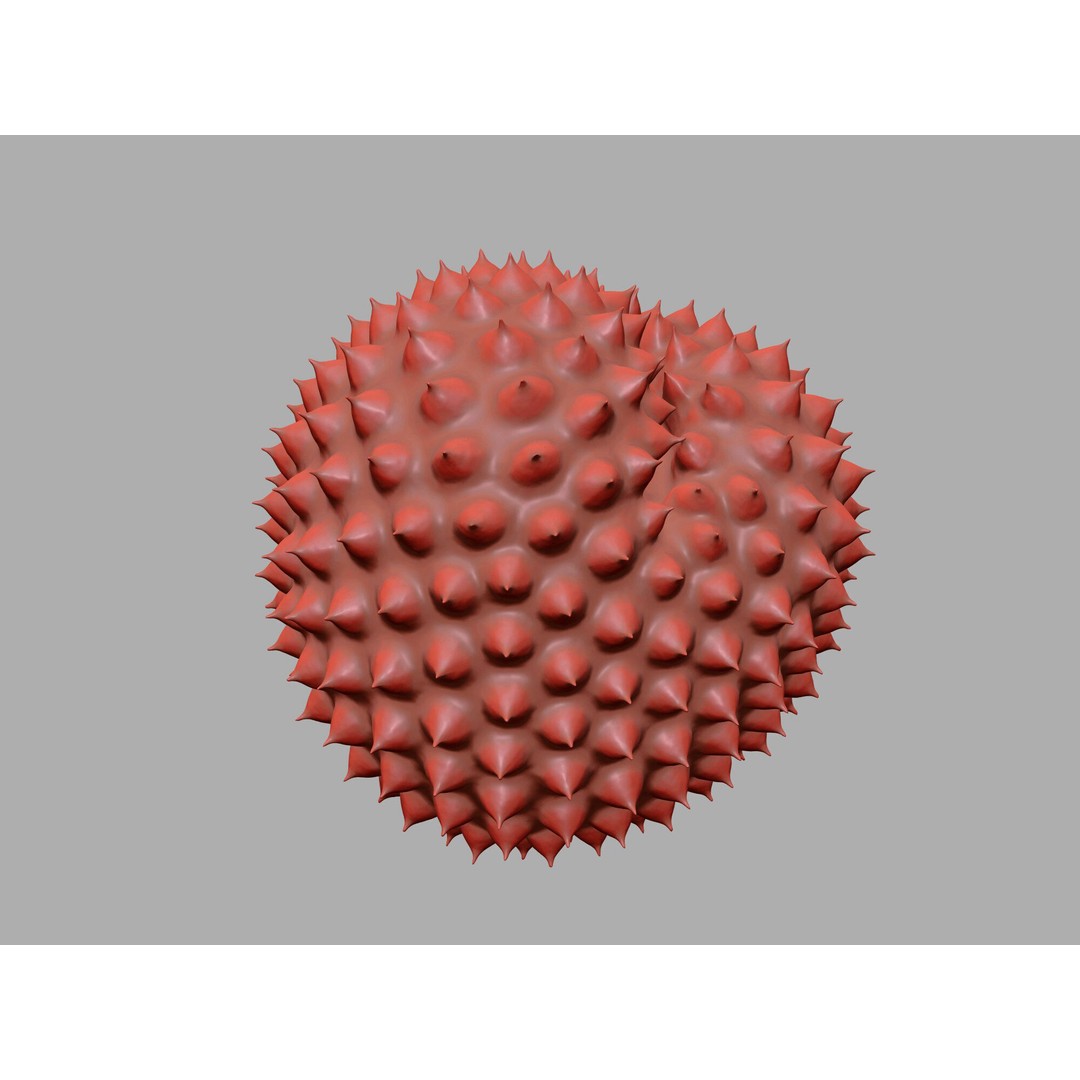 Ragweed Pollen Particle 3D Model – High-Resolution Scientific Visualization, PBR - View 13