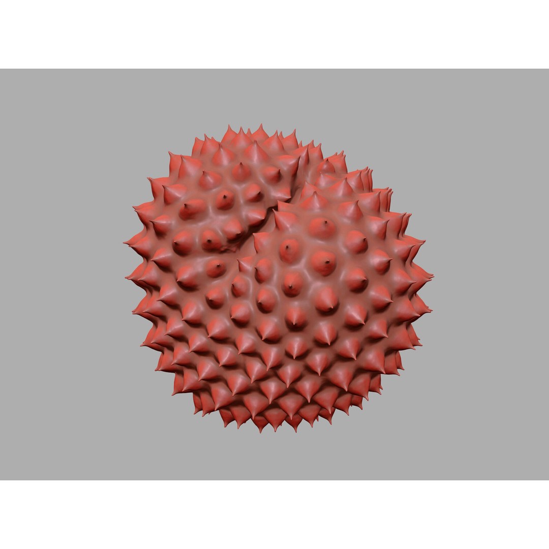 Ragweed Pollen Particle 3D Model – High-Resolution Scientific Visualization, PBR - View 15