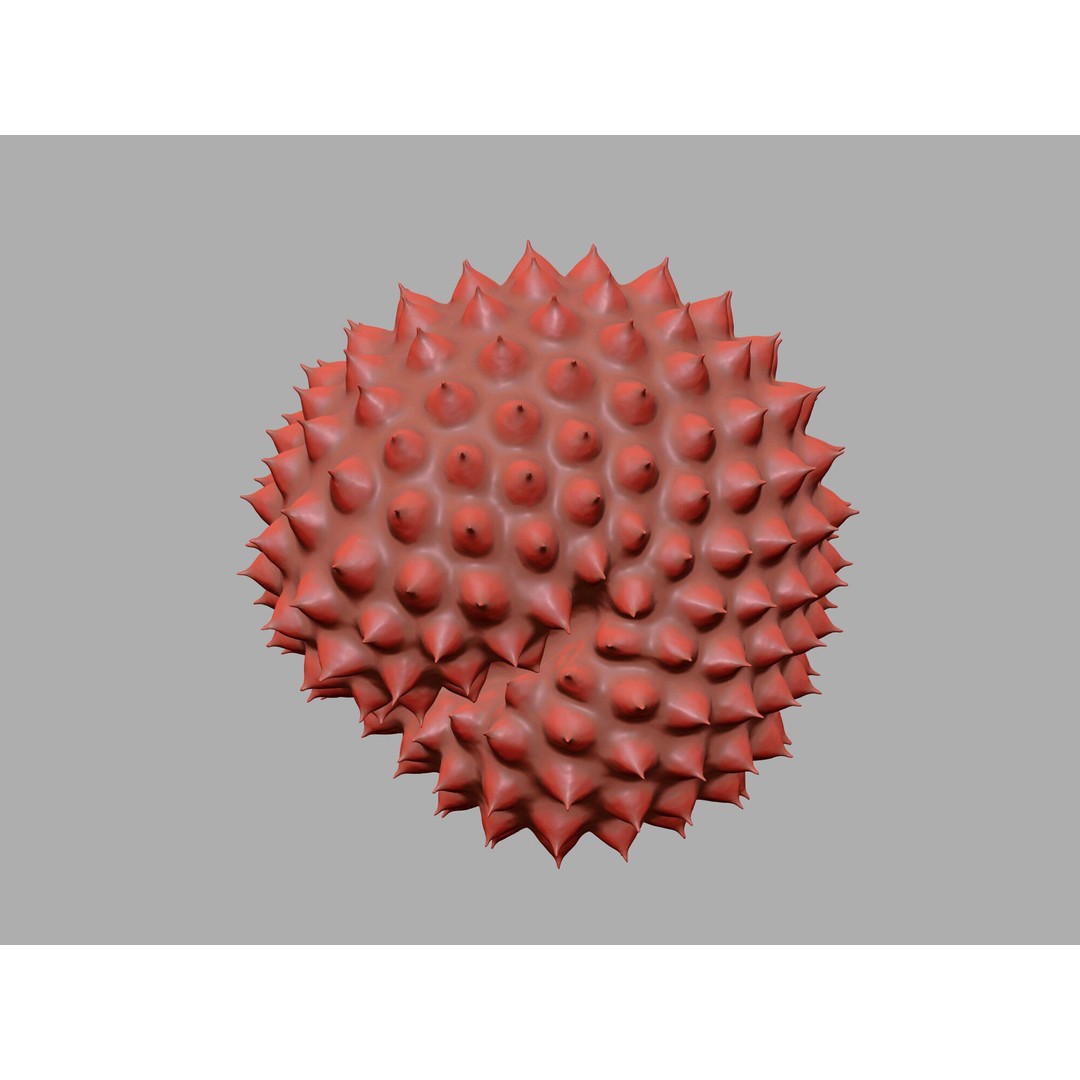Ragweed Pollen Particle 3D Model – High-Resolution Scientific Visualization, PBR - View 16