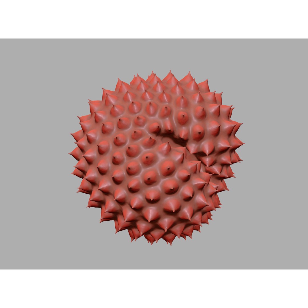 Ragweed Pollen Particle 3D Model – High-Resolution Scientific Visualization, PBR - View 17