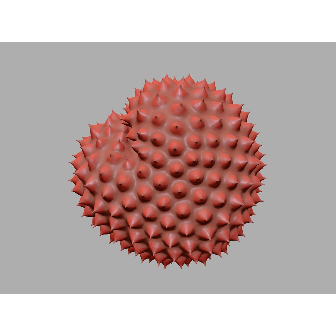 Ragweed Pollen Particle 3D Model – High-Resolution Scientific Visualization, PBR - View 18