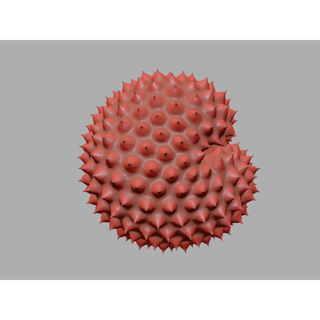 Ragweed Pollen Particle 3D Model – High-Resolution Scientific Visualization, PBR - View 19
