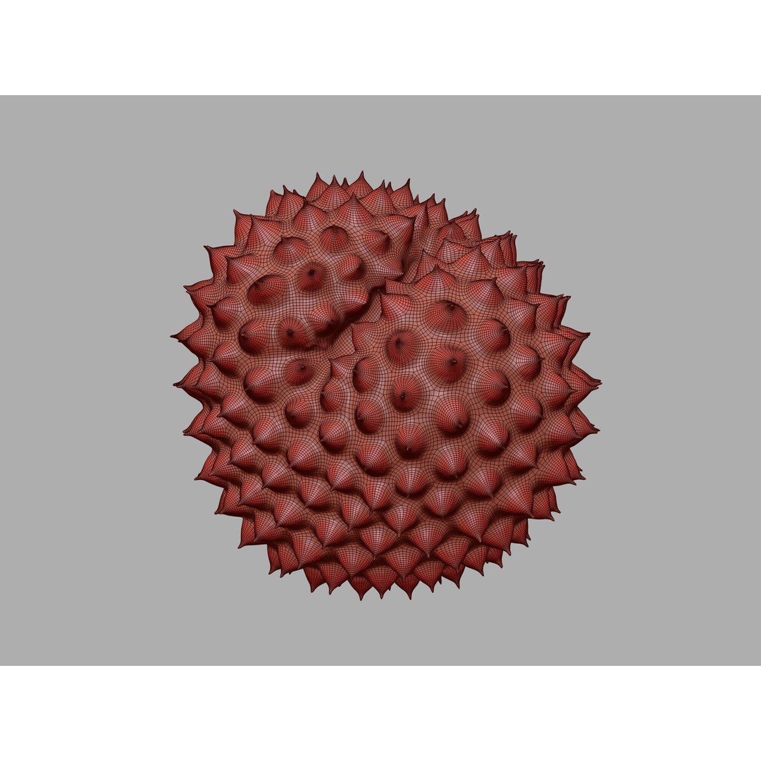 Ragweed Pollen Particle 3D Model – High-Resolution Scientific Visualization, PBR - View 20