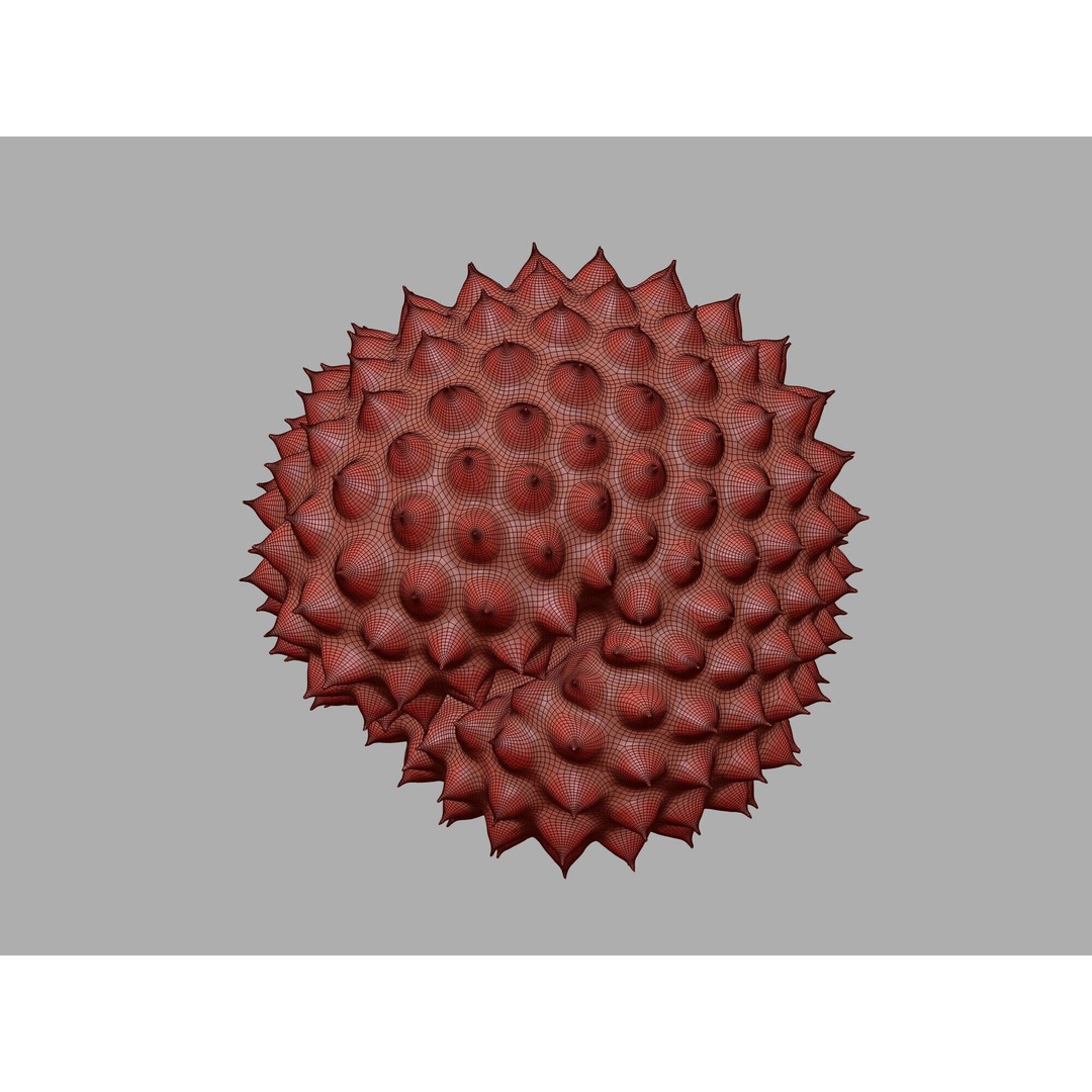 Ragweed Pollen Particle 3D Model – High-Resolution Scientific Visualization, PBR - View 21