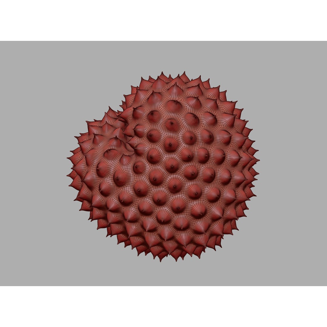 Ragweed Pollen Particle 3D Model – High-Resolution Scientific Visualization, PBR - View 22