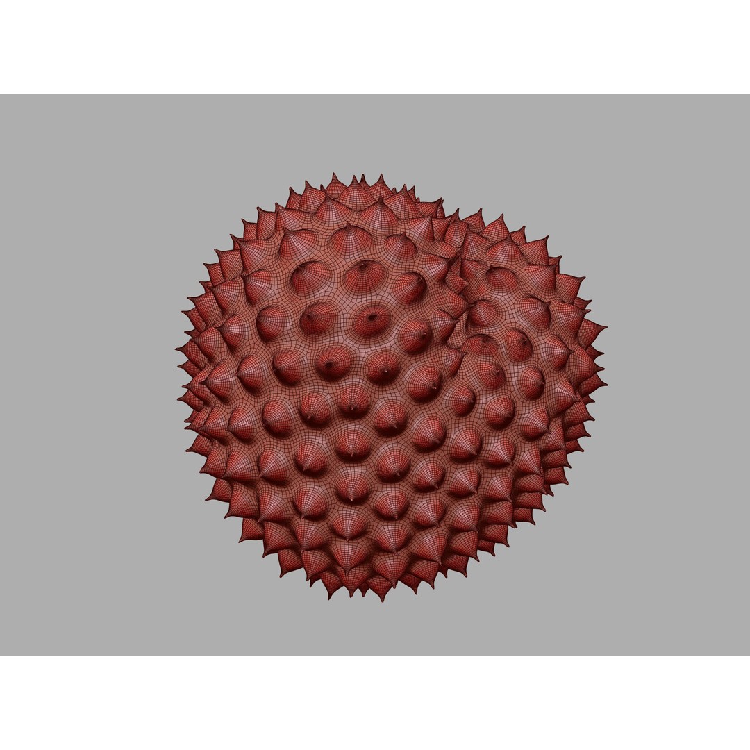 Ragweed Pollen Particle 3D Model – High-Resolution Scientific Visualization, PBR - View 23