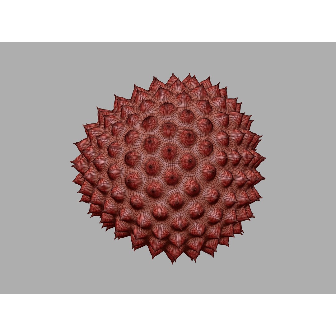 Ragweed Pollen Particle 3D Model – High-Resolution Scientific Visualization, PBR - View 24