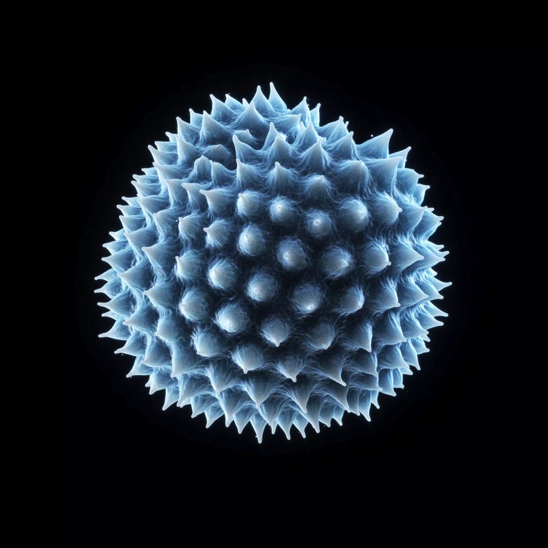 Ragweed Pollen Particle 3D Model – High-Resolution Scientific Visualization, PBR - View 8