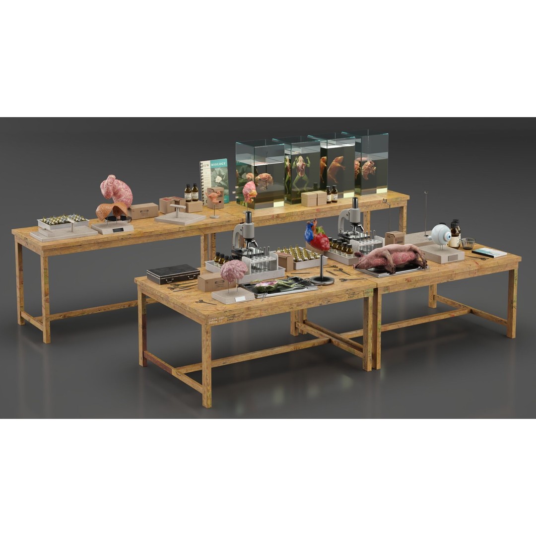 Biological Specimen Laboratory Equipment 3D Model – PBR Textured, FBX - View 10