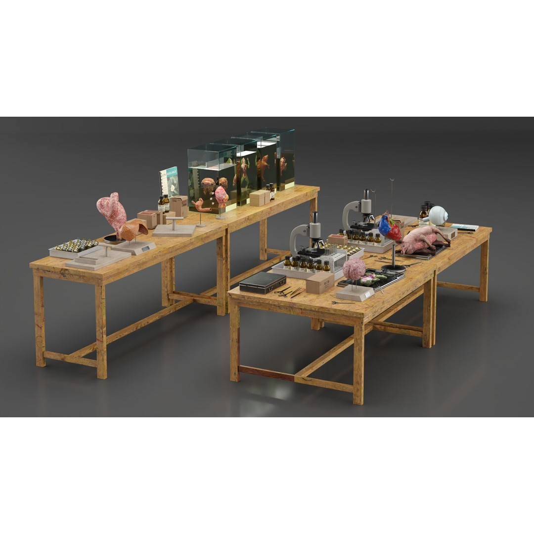 Biological Specimen Laboratory Equipment 3D Model – PBR Textured, FBX - View 12