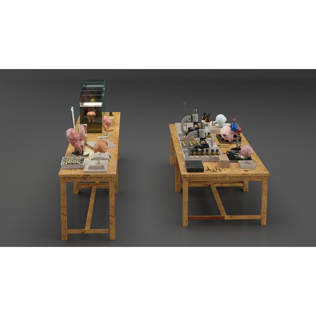 Biological Specimen Laboratory Equipment 3D Model – PBR Textured, FBX - View 13
