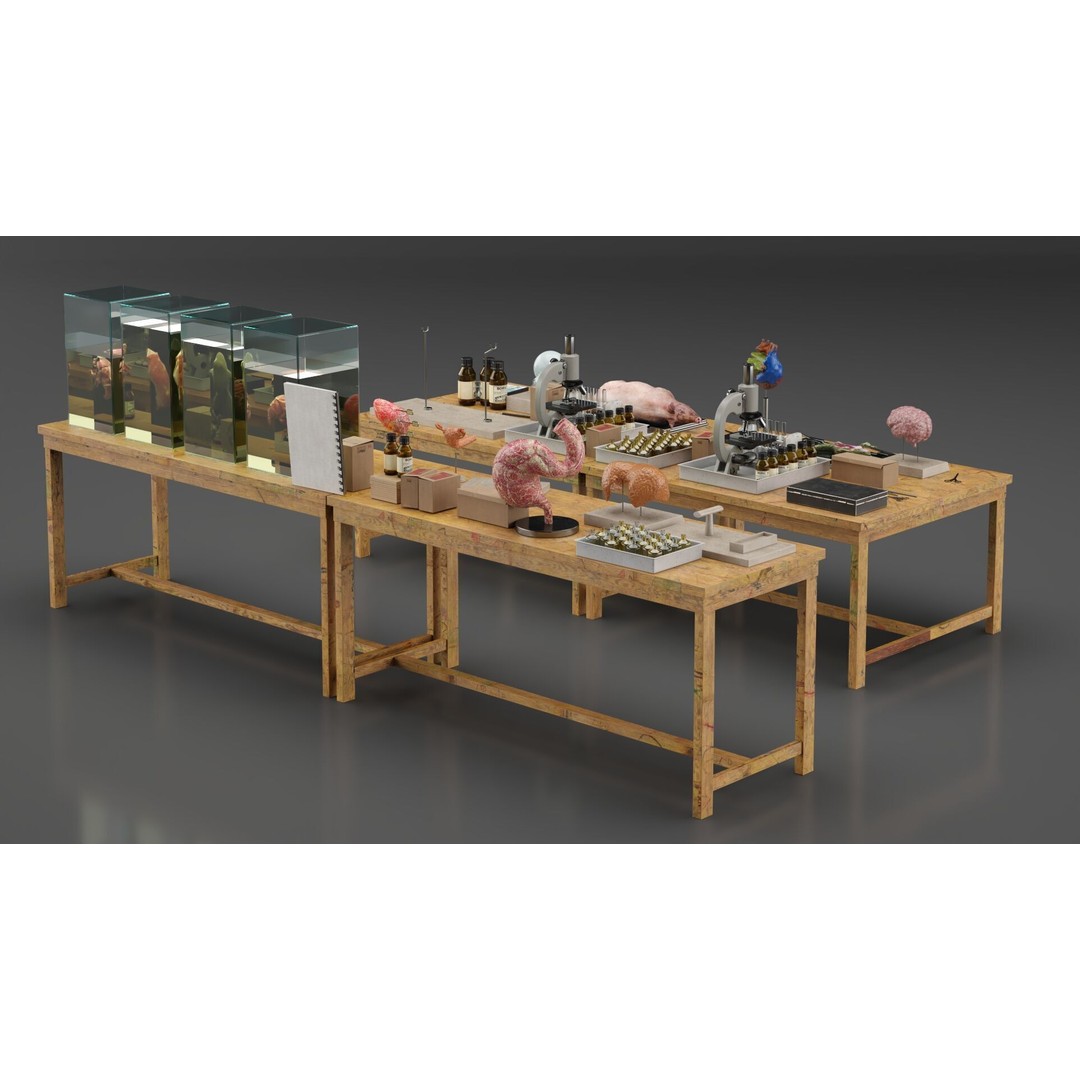 Biological Specimen Laboratory Equipment 3D Model – PBR Textured, FBX - View 15