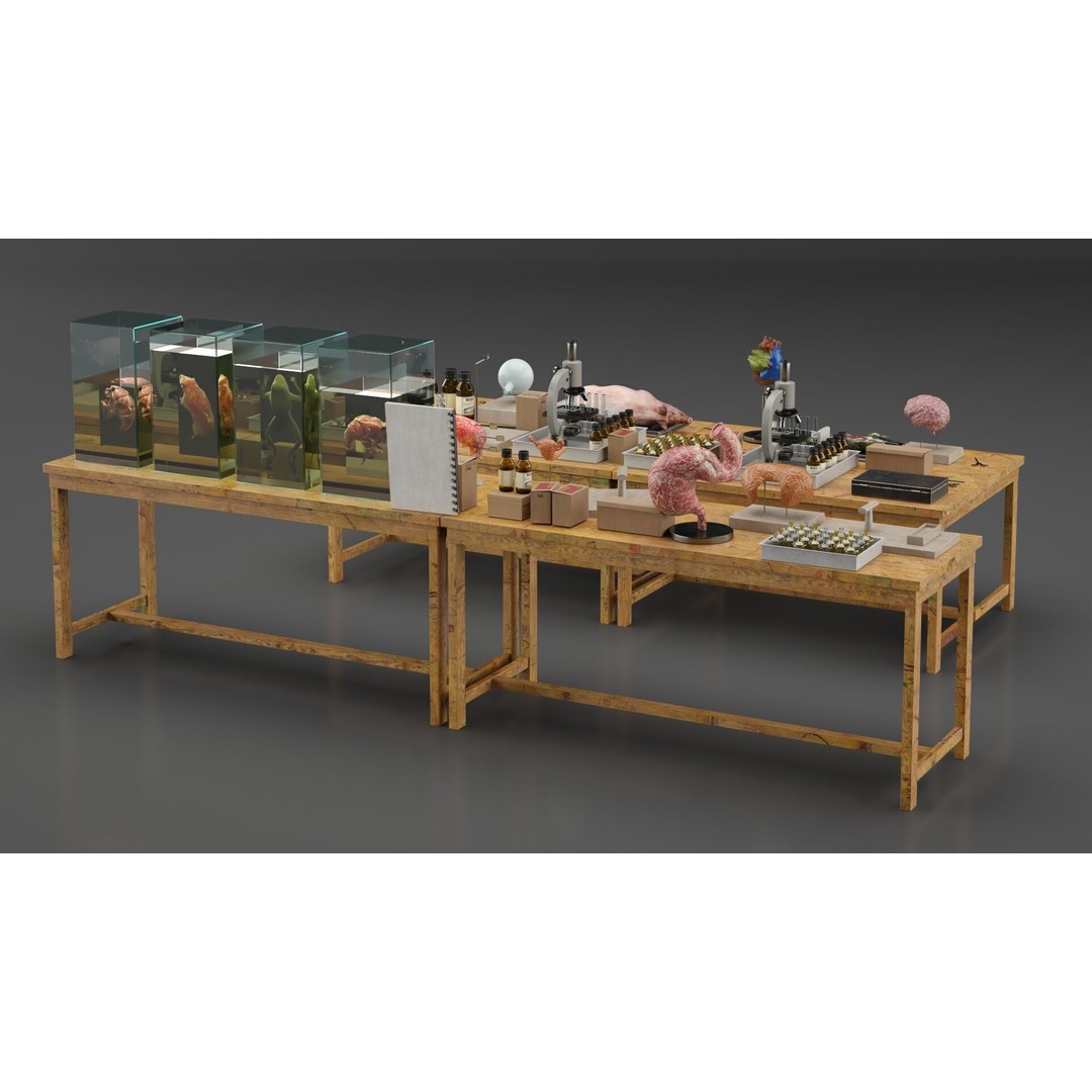 Biological Specimen Laboratory Equipment 3D Model – PBR Textured, FBX - View 16