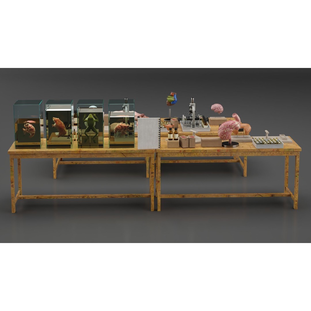 Biological Specimen Laboratory Equipment 3D Model – PBR Textured, FBX - View 17