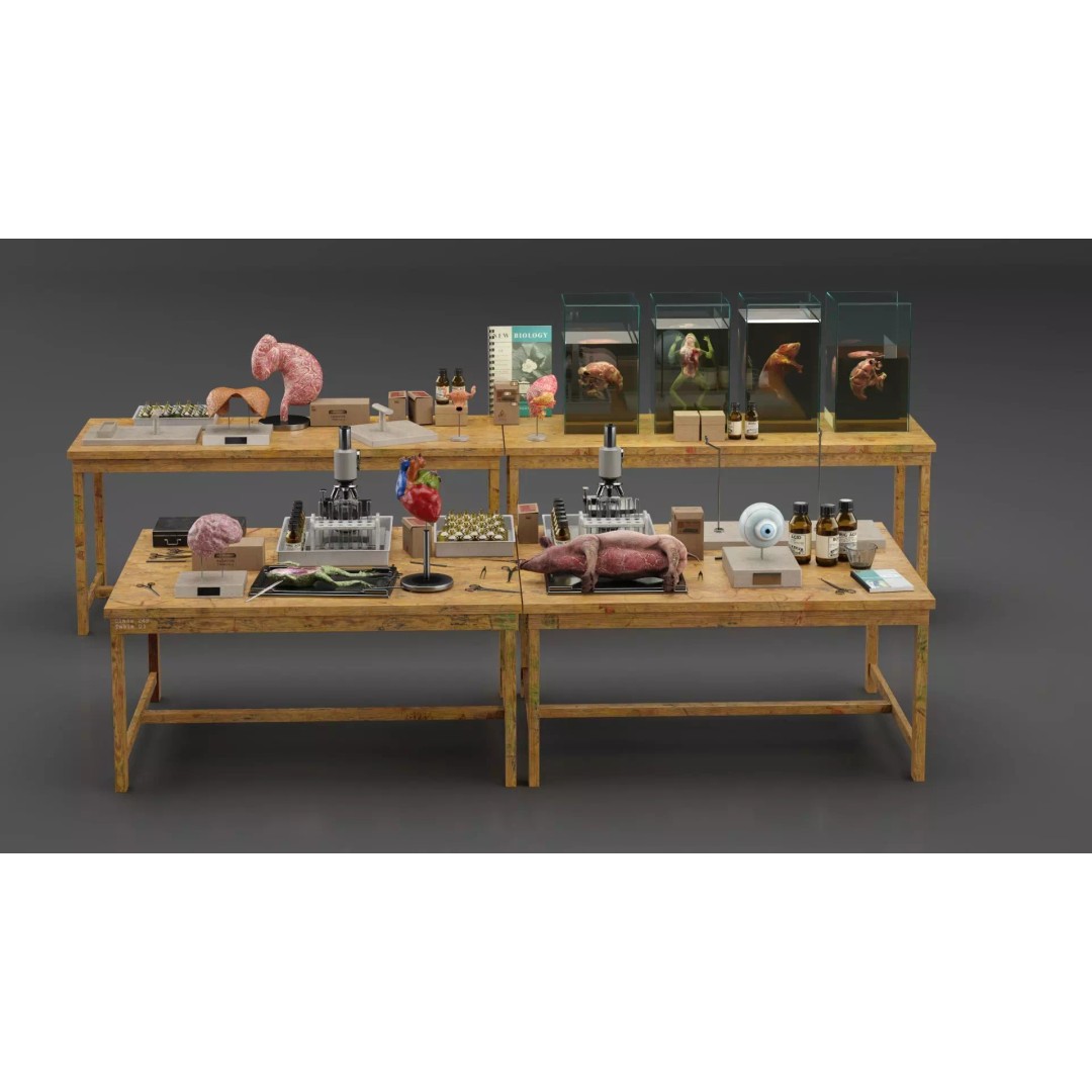 Biological Specimen Laboratory Equipment 3D Model – PBR Textured, FBX - View 2