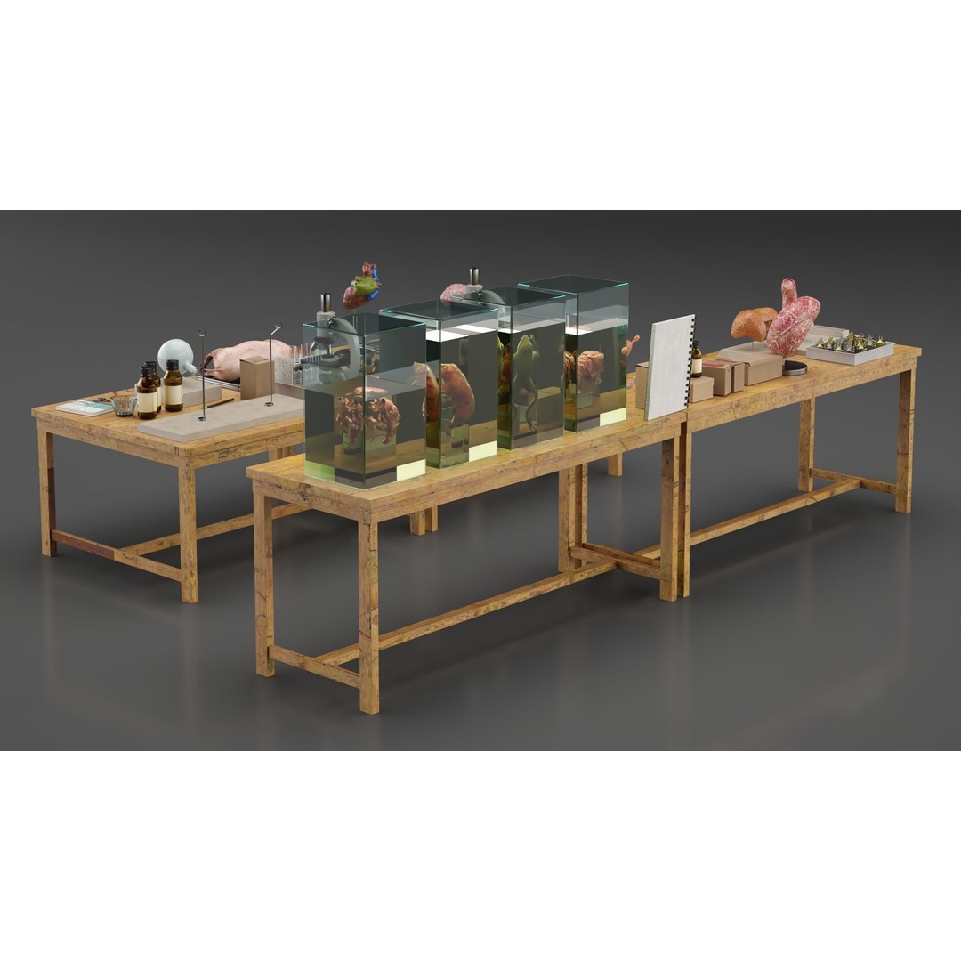Biological Specimen Laboratory Equipment 3D Model – PBR Textured, FBX - View 4