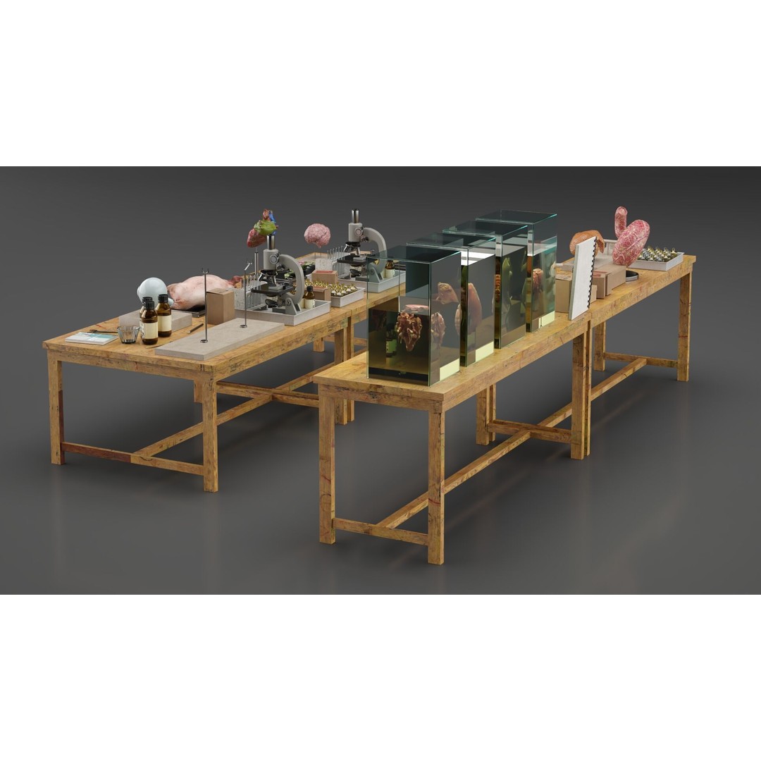 Biological Specimen Laboratory Equipment 3D Model – PBR Textured, FBX - View 5