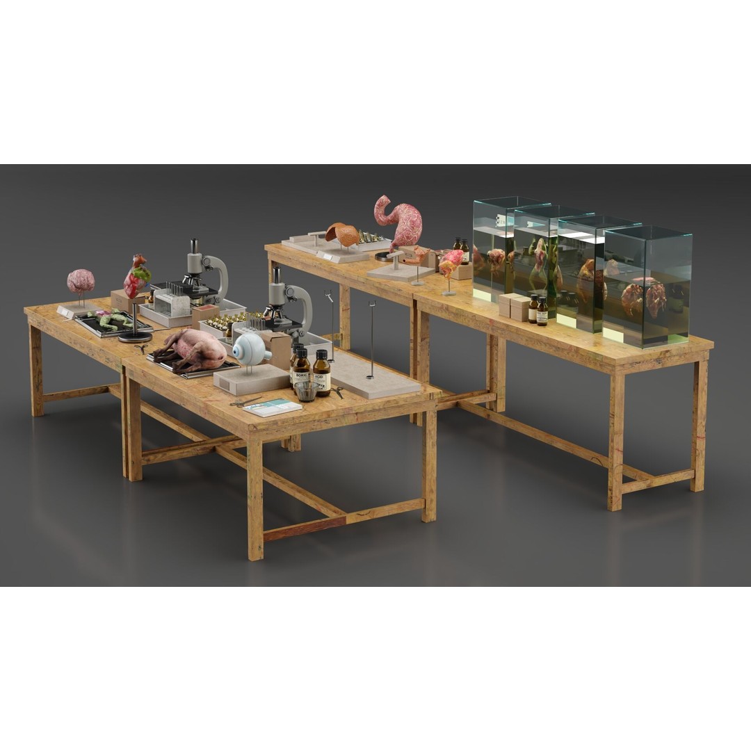 Biological Specimen Laboratory Equipment 3D Model – PBR Textured, FBX - View 7