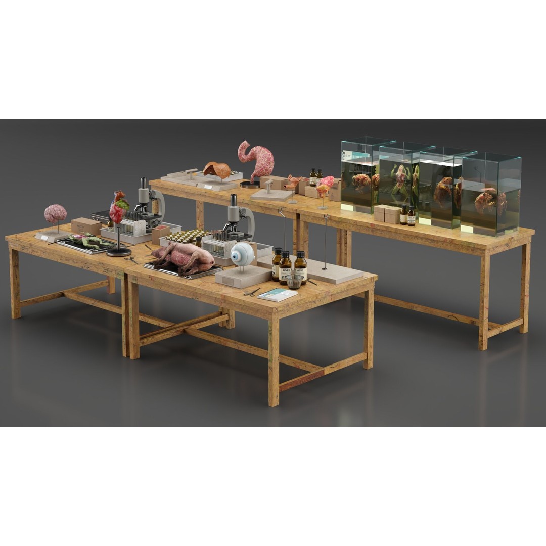 Biological Specimen Laboratory Equipment 3D Model – PBR Textured, FBX - View 8