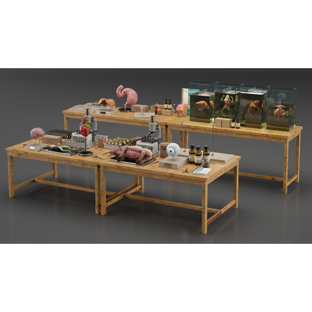 Biological Specimen Laboratory Equipment 3D Model – PBR Textured, FBX - View 9