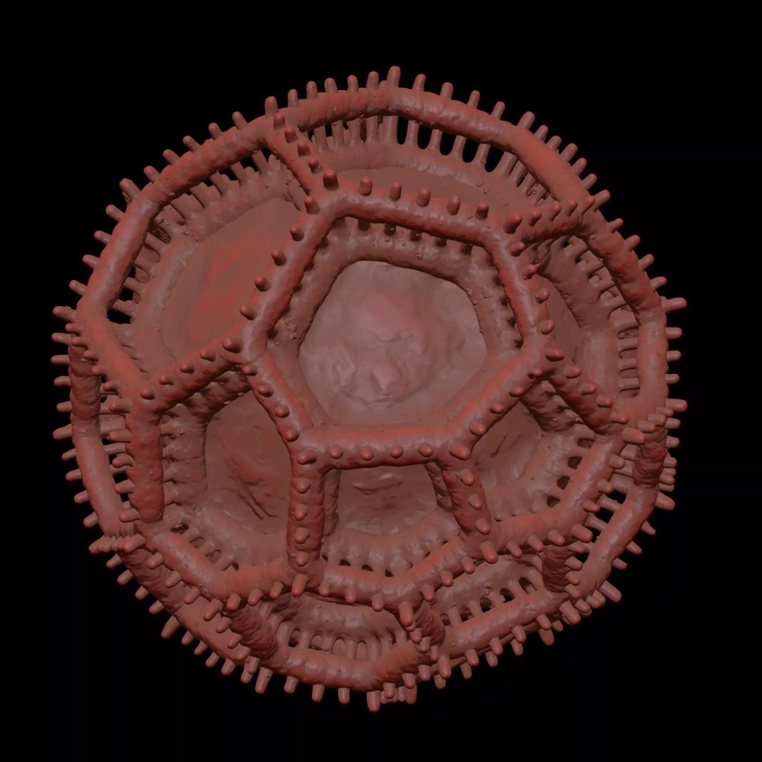 Vernonieae Pollen Grain 3D Model – High-Detail Scientific Visualization, OBJ - View 10