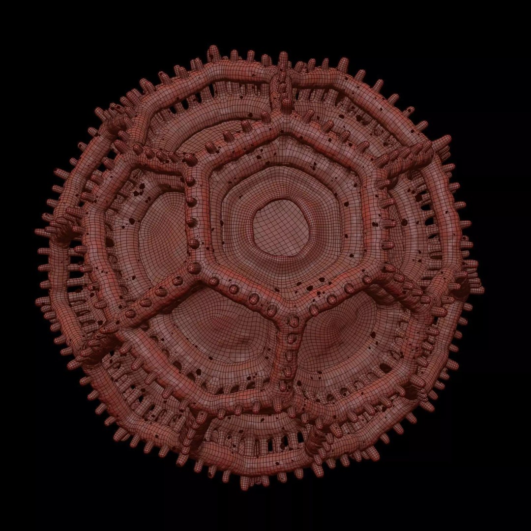 Vernonieae Pollen Grain 3D Model – High-Detail Scientific Visualization, OBJ - View 11