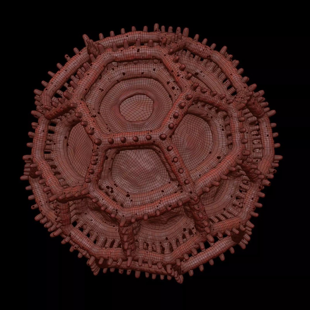 Vernonieae Pollen Grain 3D Model – High-Detail Scientific Visualization, OBJ - View 12
