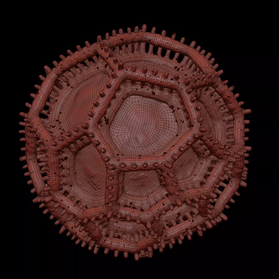 Vernonieae Pollen Grain 3D Model – High-Detail Scientific Visualization, OBJ - View 13