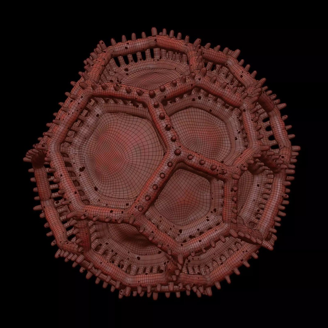 Vernonieae Pollen Grain 3D Model – High-Detail Scientific Visualization, OBJ - View 9