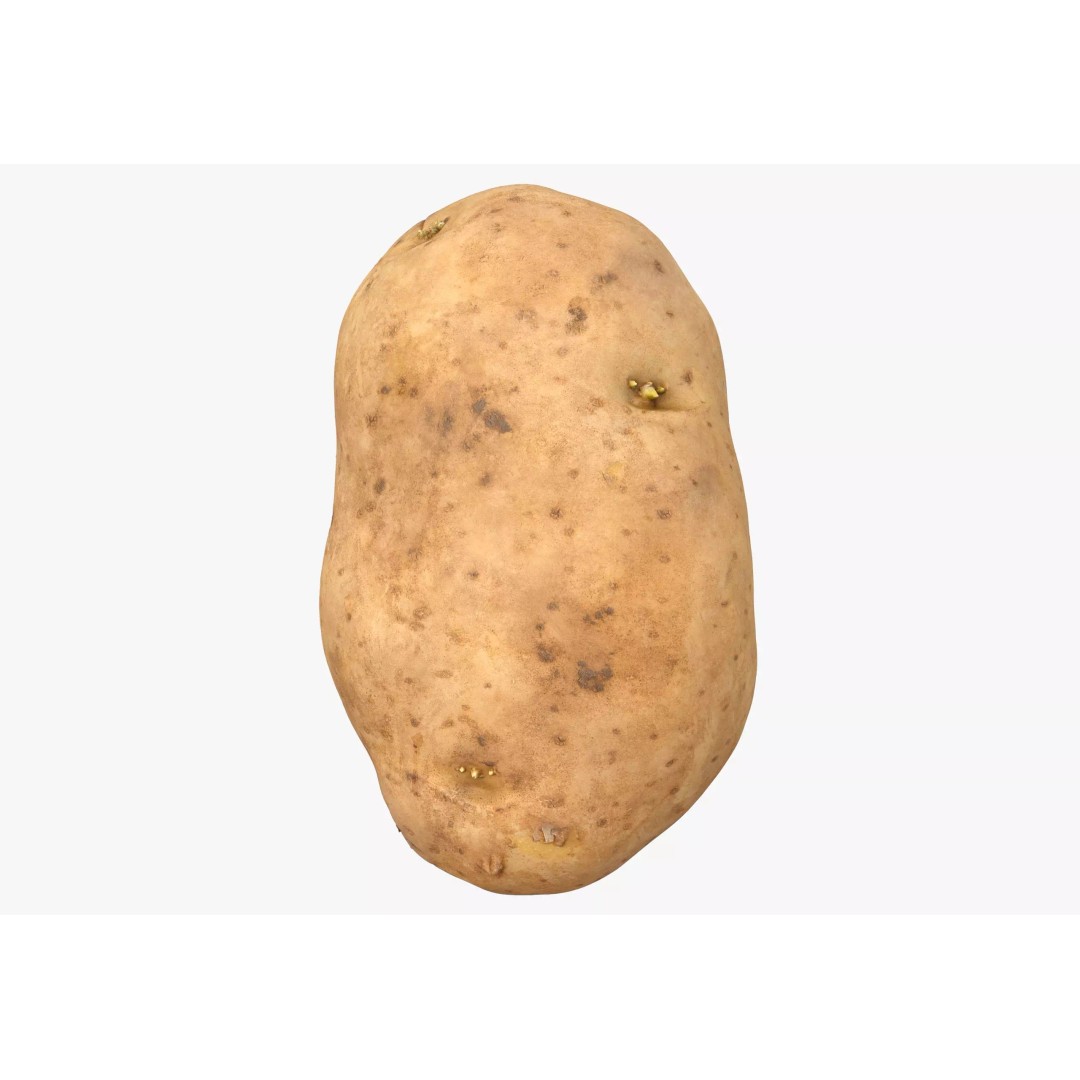 Potato 3D Model – Low Poly Game Asset, FBX & OBJ Formats - View 2