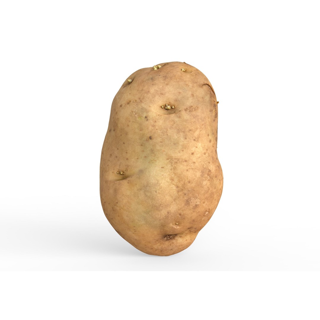 Potato 3D Model – Low Poly Game Asset, FBX & OBJ Formats - View 3