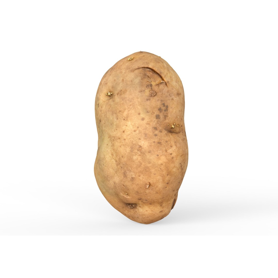 Potato 3D Model – Low Poly Game Asset, FBX & OBJ Formats - View 4